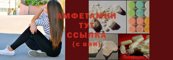 прущие грибы Алзамай