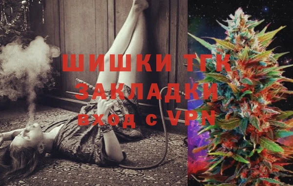 прущие грибы Алзамай