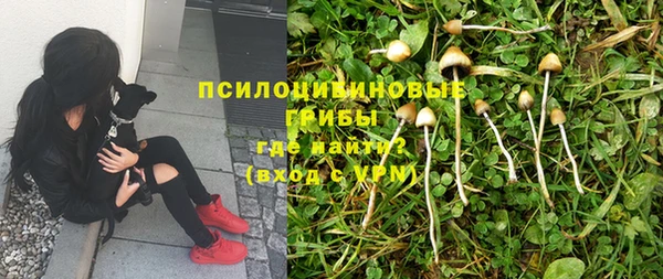 ECSTASY Абдулино